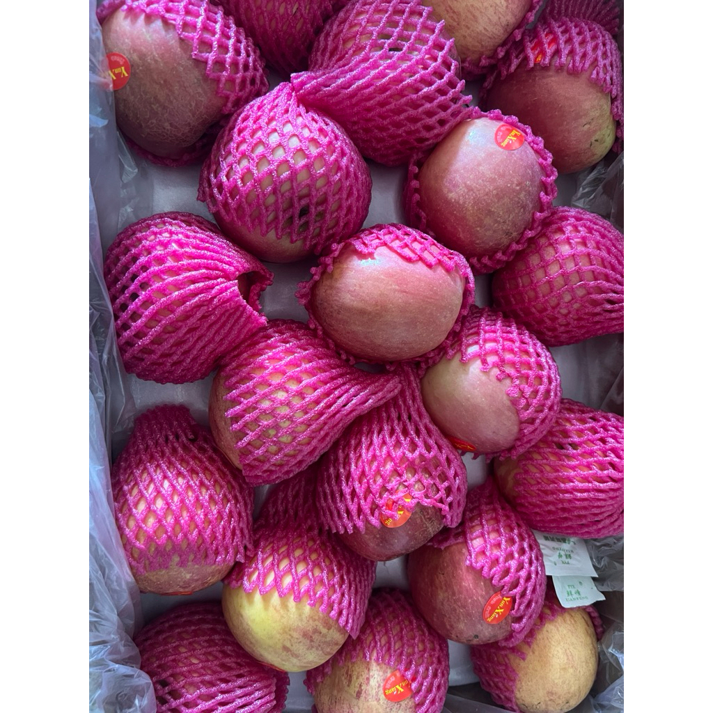 

Apel Fuji manis KRESS isi 6 bj READY STOCK