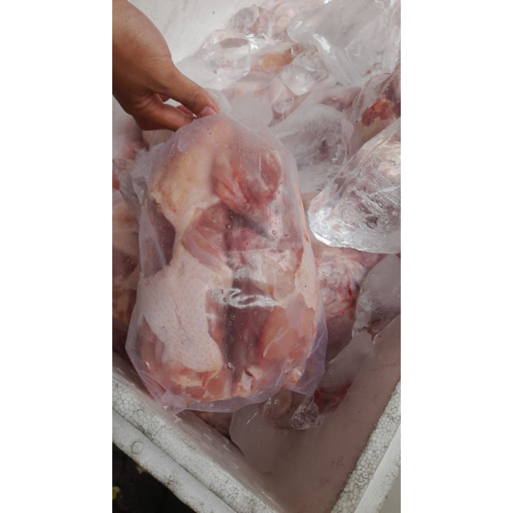 

Kerongkongan ayam Fresh 1kg