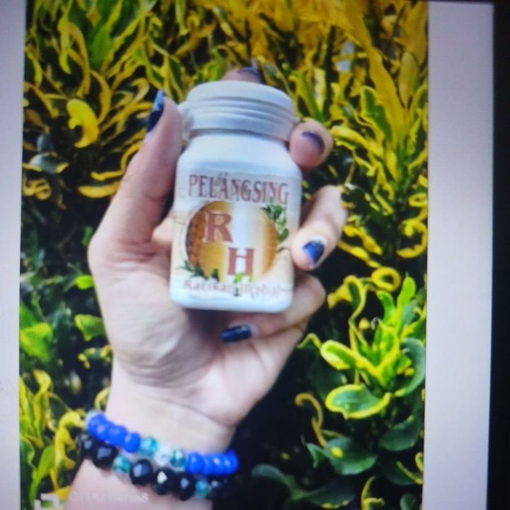 JAMU DIET RH PELANGSING PENURUN BERAT BADAN PALING AMPUH