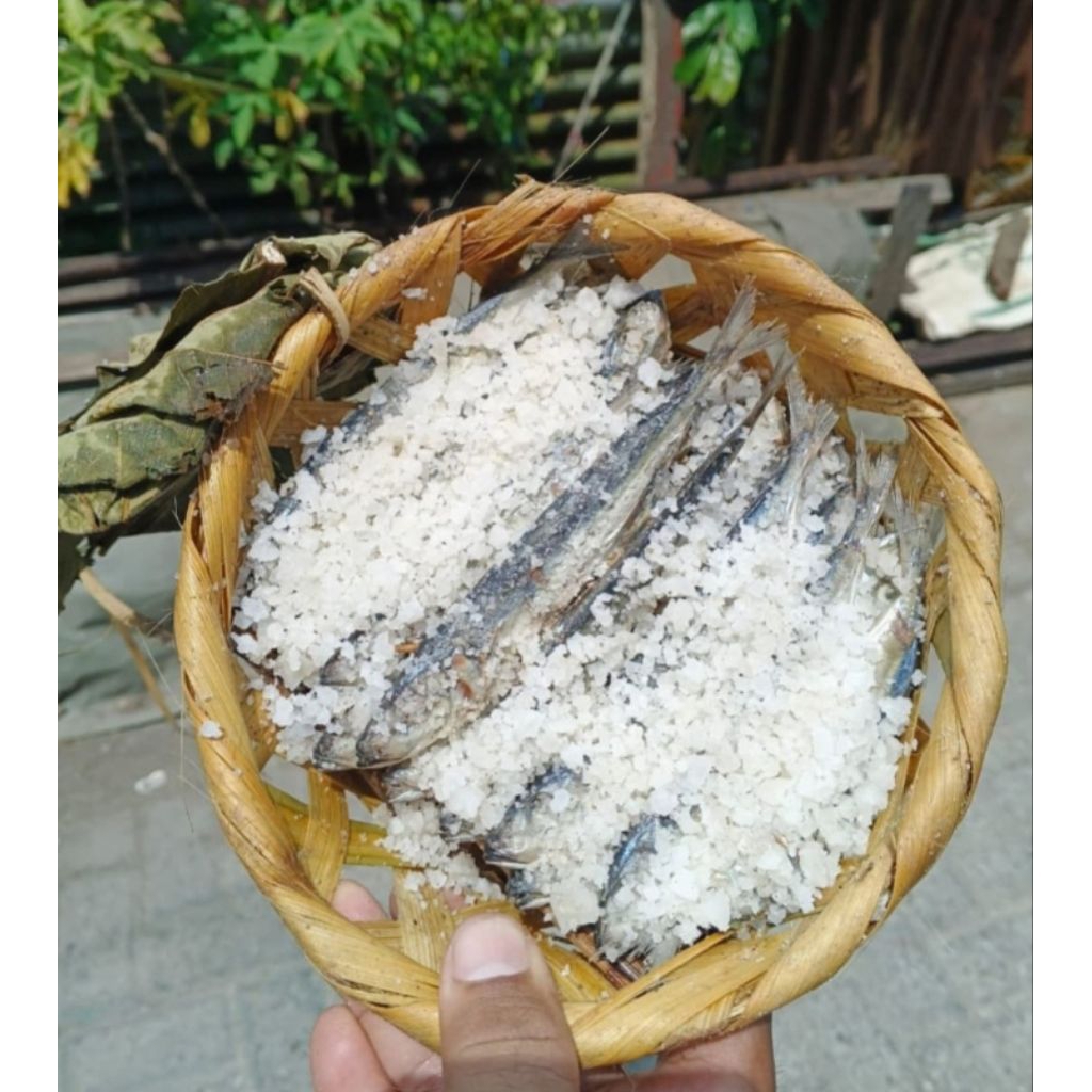 

Ikan Pindang 1 Keranjang