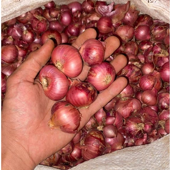 

bawang Merah Super Bali Karet Ukuran Besar 1KG Dan 500Gr