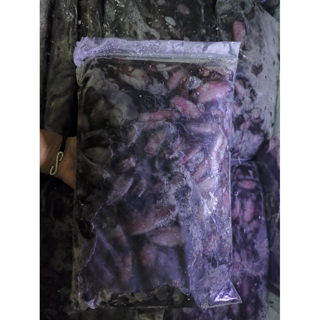 

Titik Frozen | Cumi Cantik 1kg Frozen