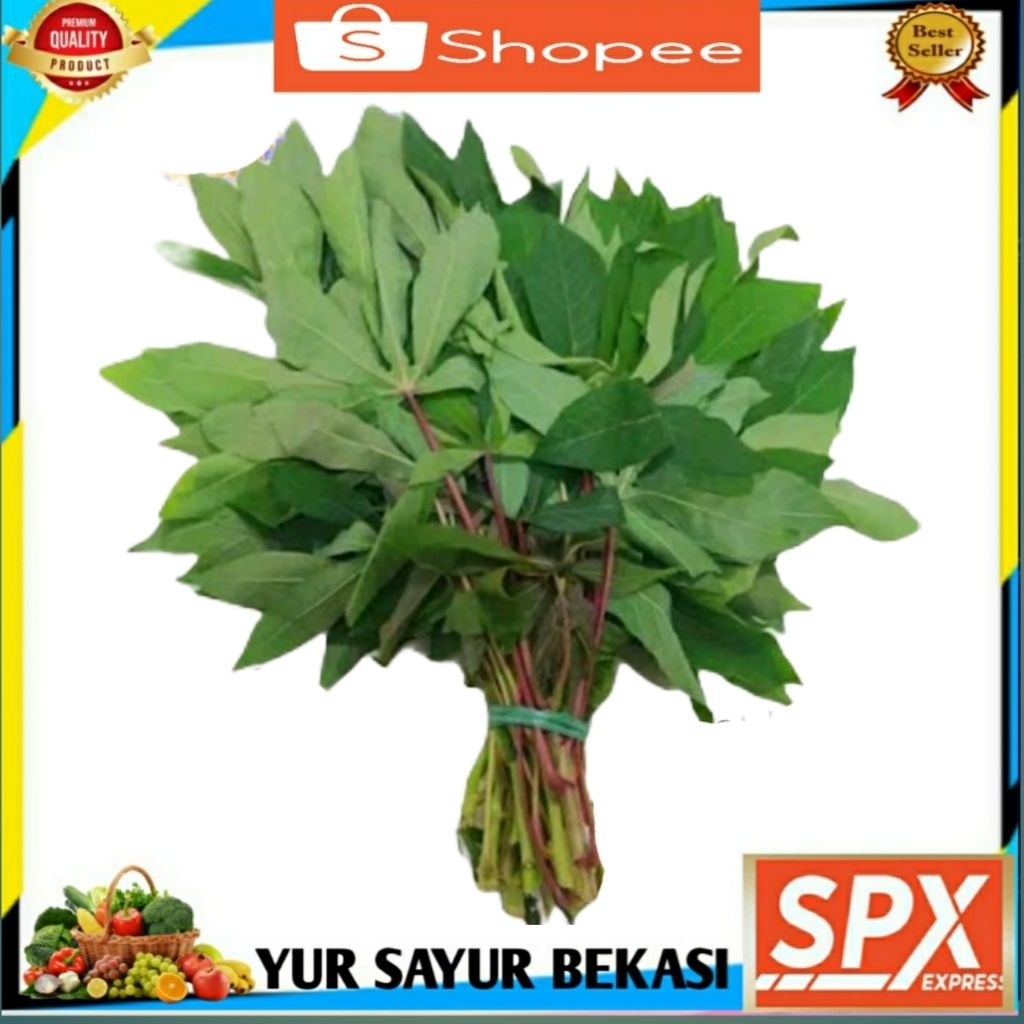 

Daun Singkong Per ikat.