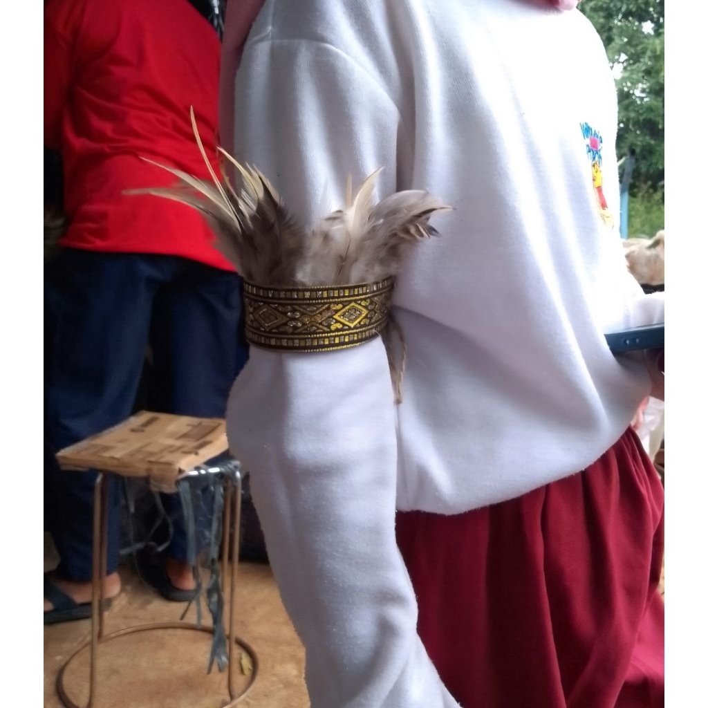 Gelang tangan bulu pelengkap adat Papua - Bulu lurik
