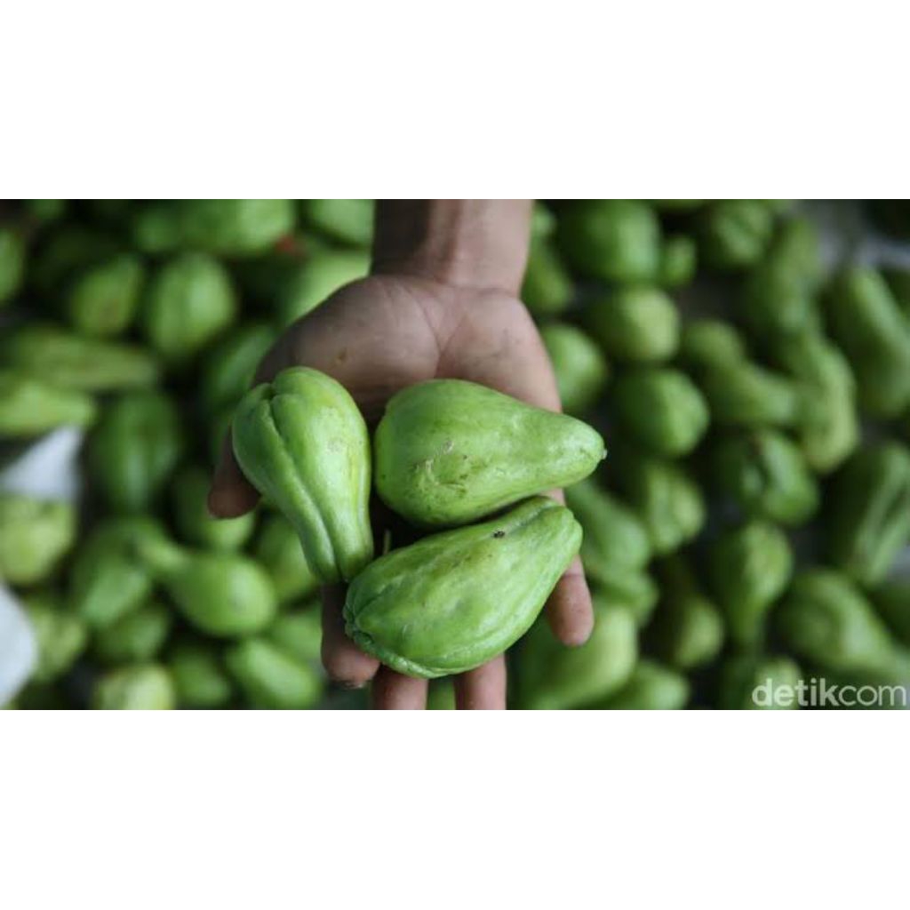 

labu siam acar 1kg isi 1_3