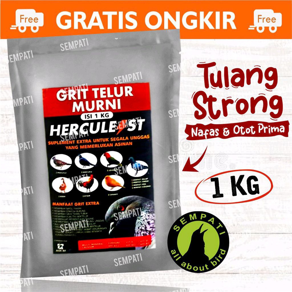 Grit Merpati Plus Asinan Cangkang Telur Murni 1kg Pakan Burung Merpati Balap Tinggian satu PERSACET