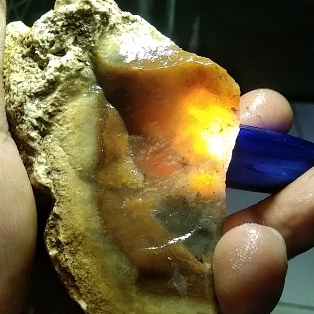 BATU FOSIL KAYU GALIH ASEM CRYSTAL