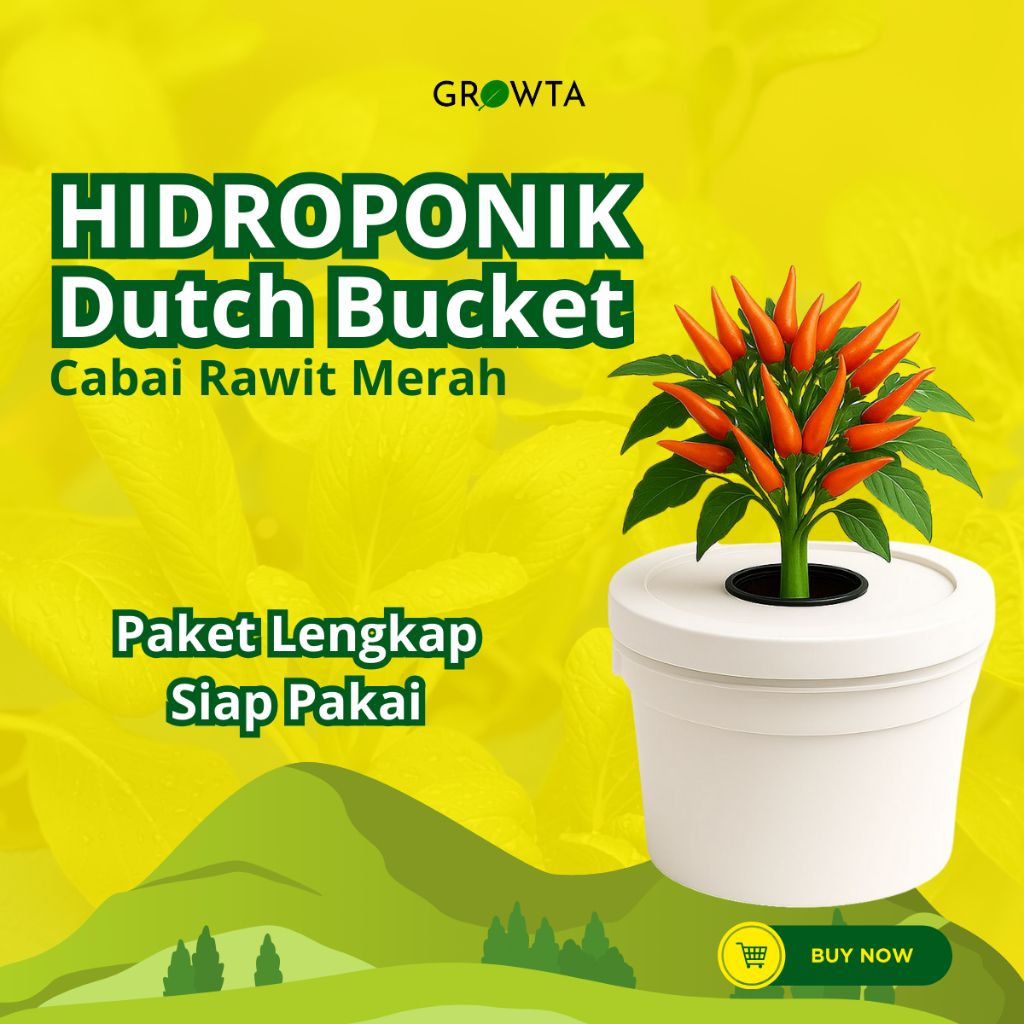 Paket Lengkap Hidroponik Pemula Dutch Bucket Cabai Rawit Merah Wick System
