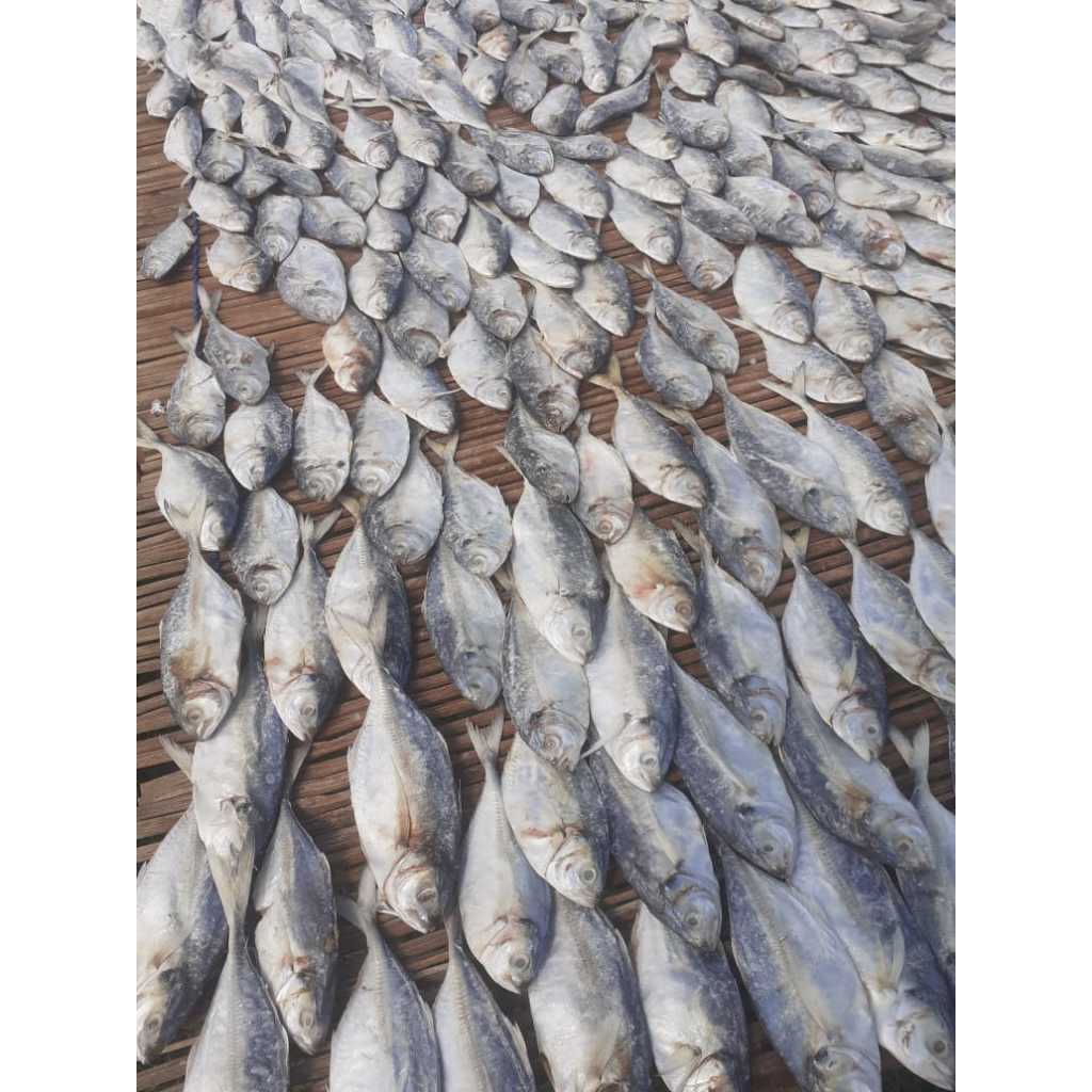 

Ikan Asin gurih selar/Ampeng/peda 500gram enak dimakan sama sambel