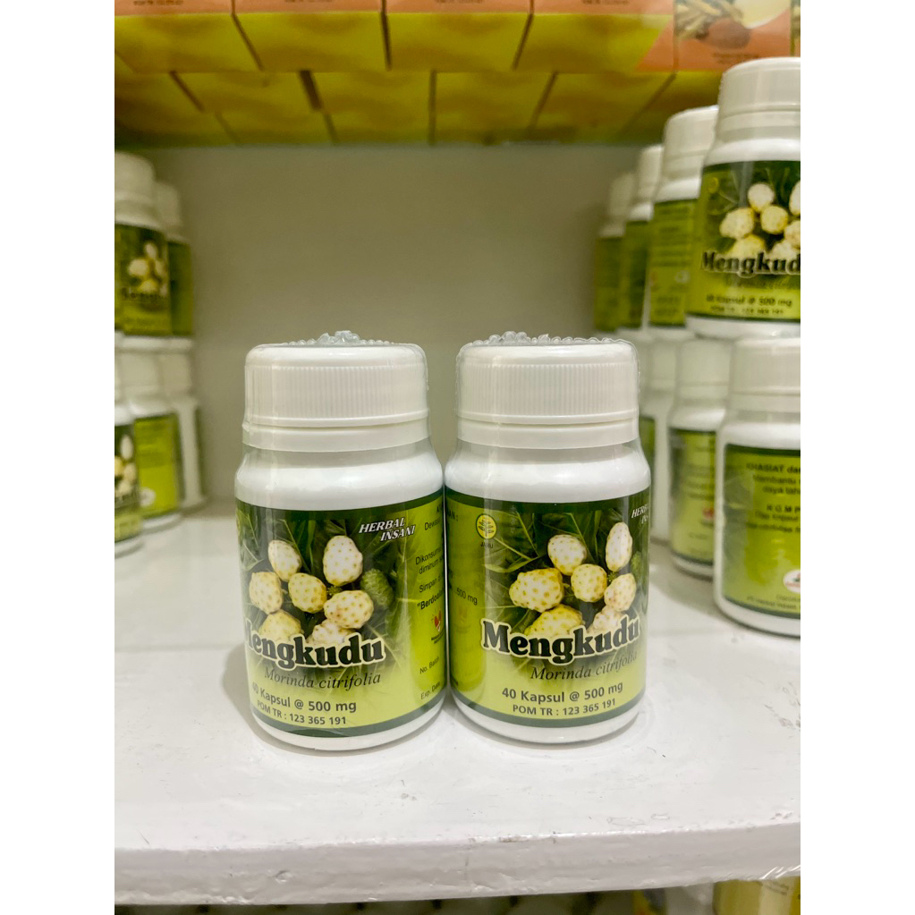 

Obat Herbal Mengkudu | Herbal Insani