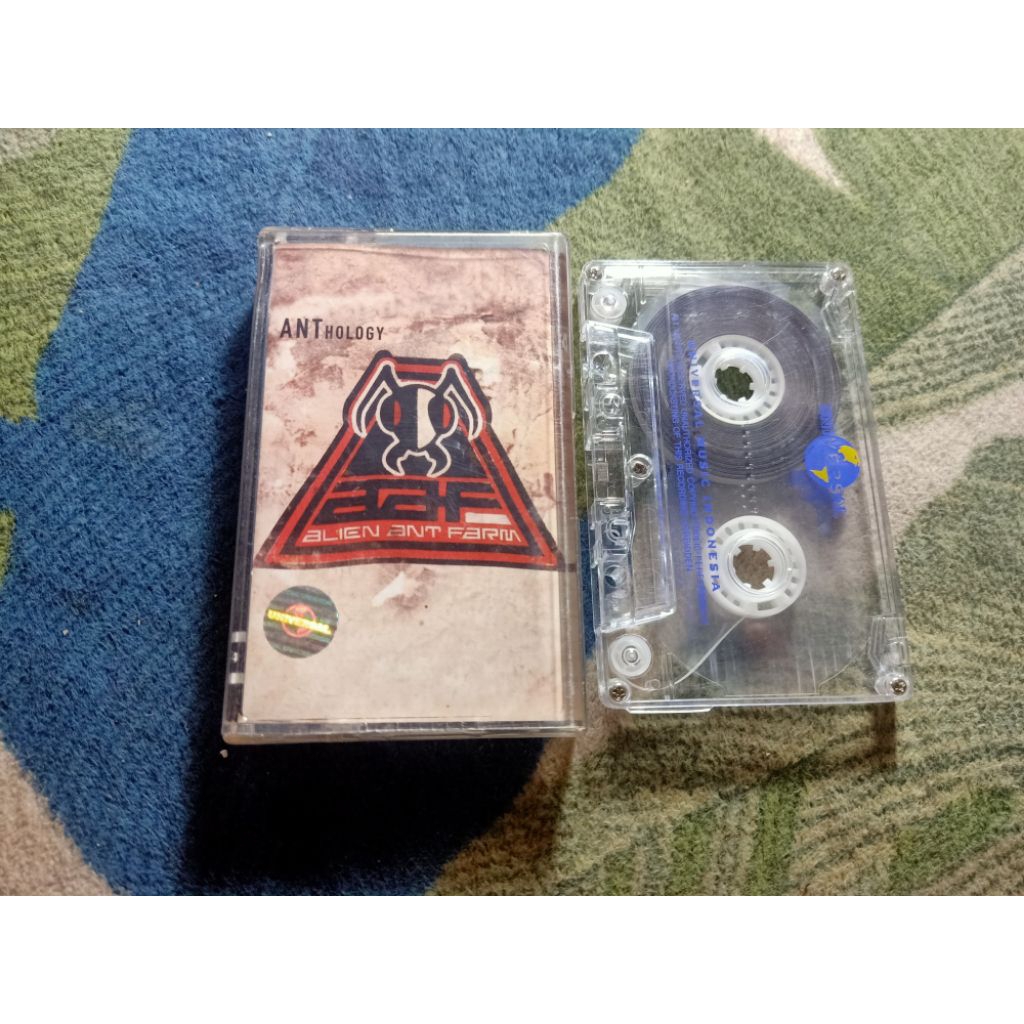 KASET PITA ALIEN ANT FARM