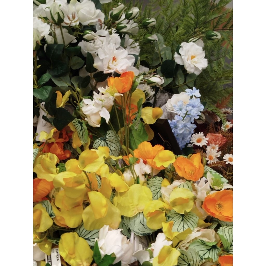 Butterflies Amarabel