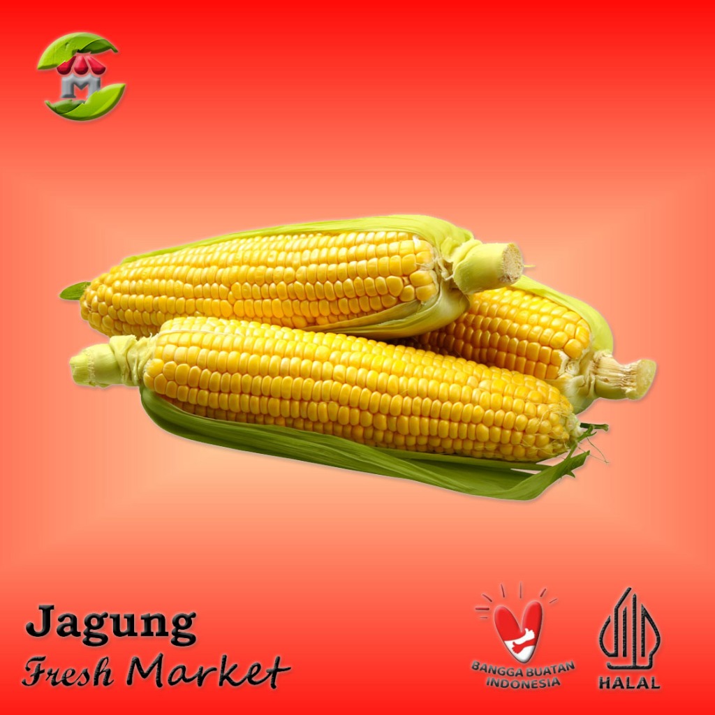 

[JAKTIM] Jagung Segar Per Pcs 350gr - 450gr