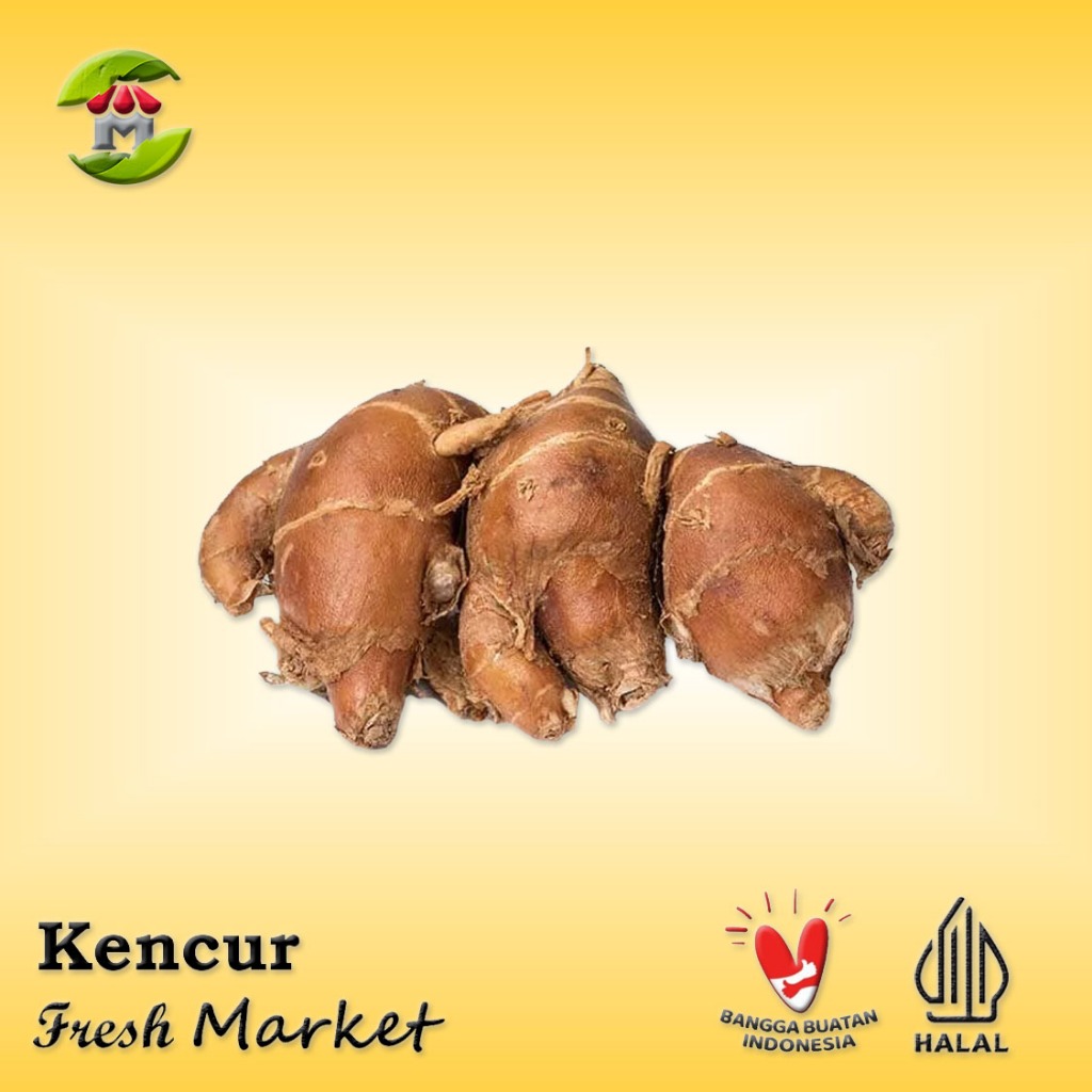 

[JAKBAR] Kencur Pack 200gr - 250gr