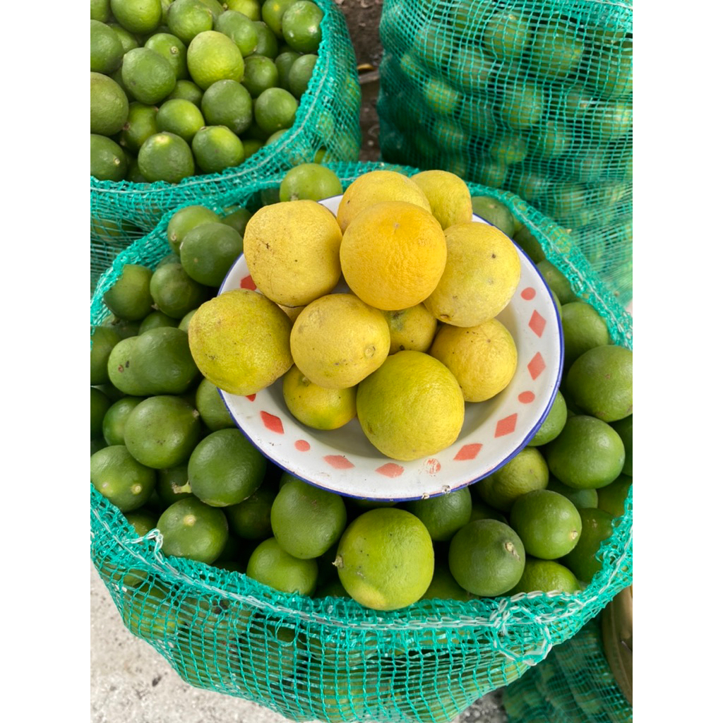 

jeruk nipis kuning 1 kg Fresh langsung petik