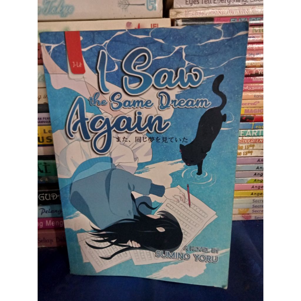BUKU NOVEL I SAW THE SAME DREAM AGAIN