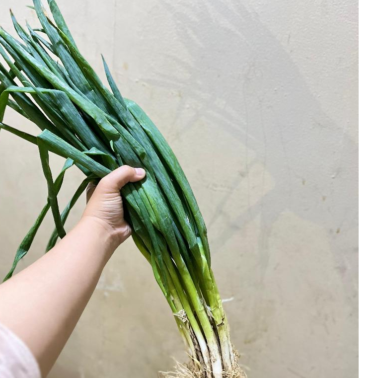 

Daun Bawang Seledri Lokal - Fresh Herbs