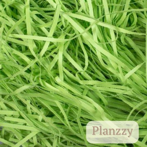 

Planzzy Shredded Paper Kertas Serut warna Hijau untuk kado giftbox hampers