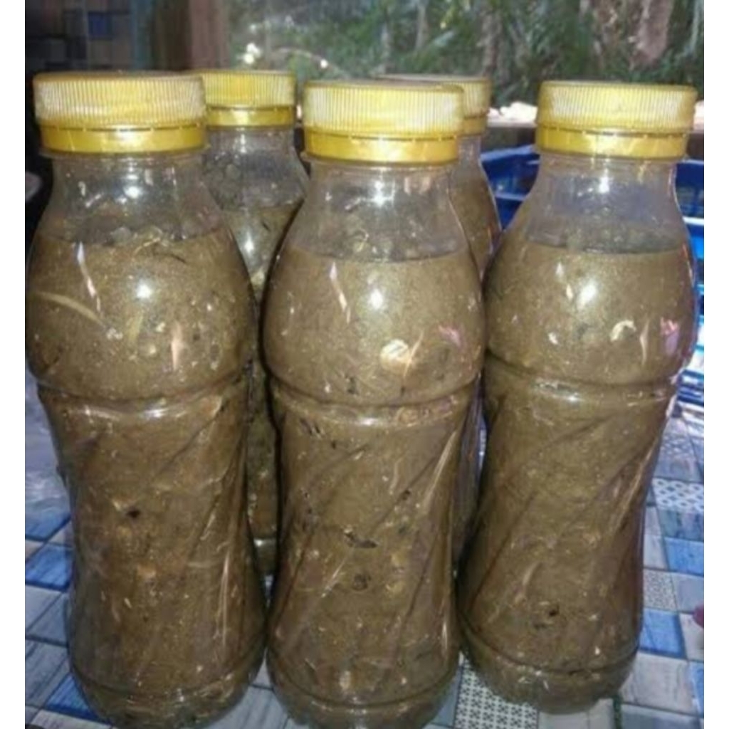 

rusip palembang asli ikan seluang tingal masak tanpa saring dan rebus lagi isi 250 ml