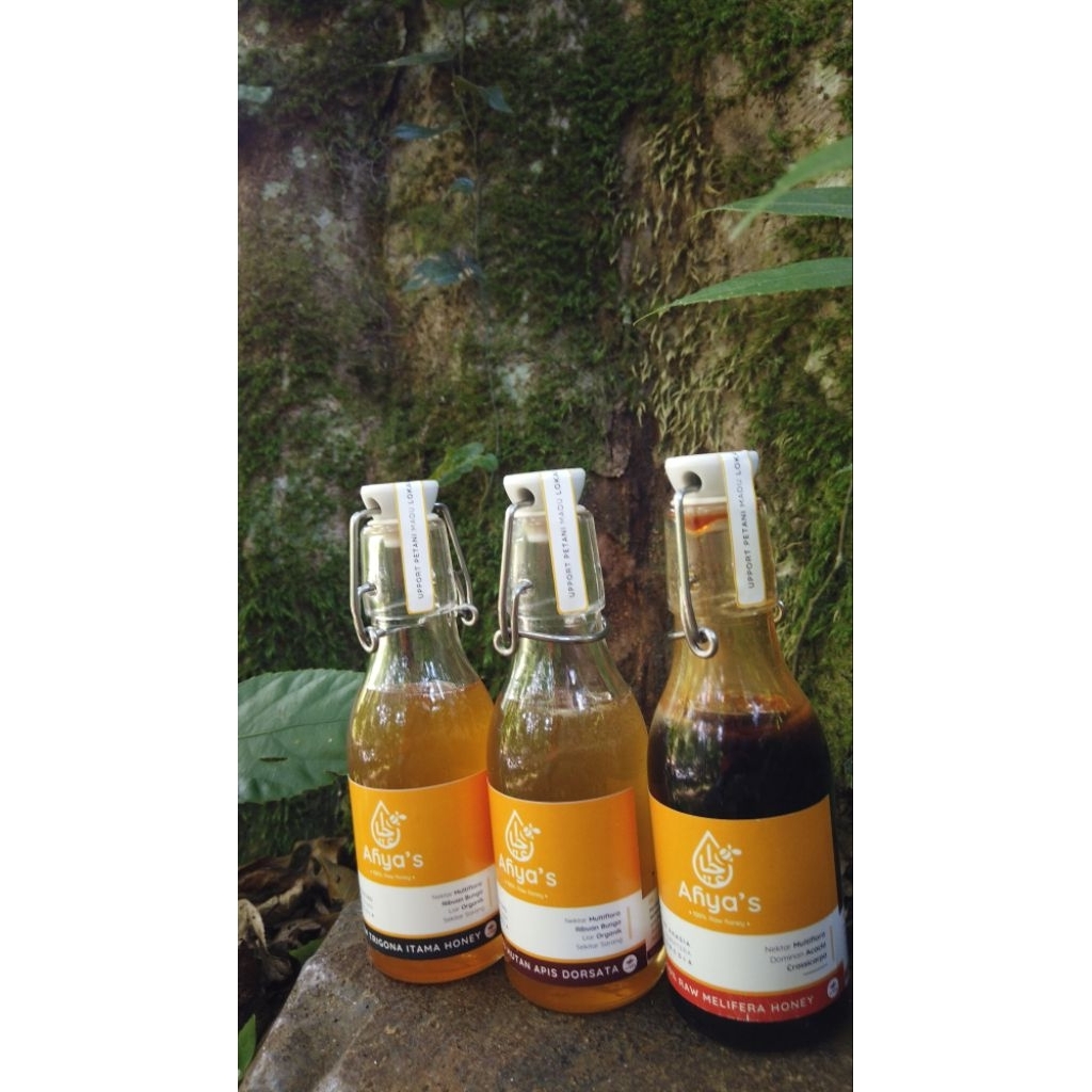 

Madu Mentah Raw Honey Unprocessed 300gr Kemasan Kaca