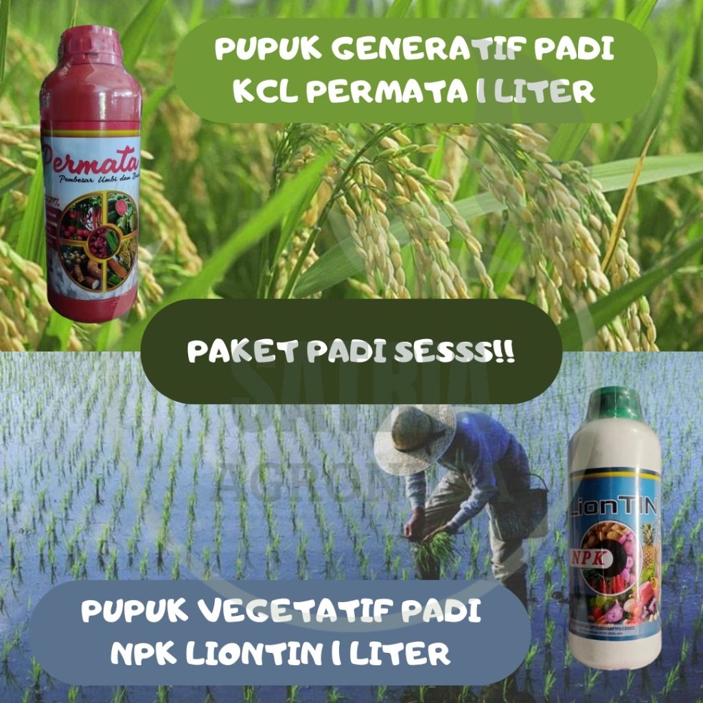 PAKET PUPUK CAIR PADI - 2 BOTOL / POC LIONTIN DAN KCL CAIR PERMATA