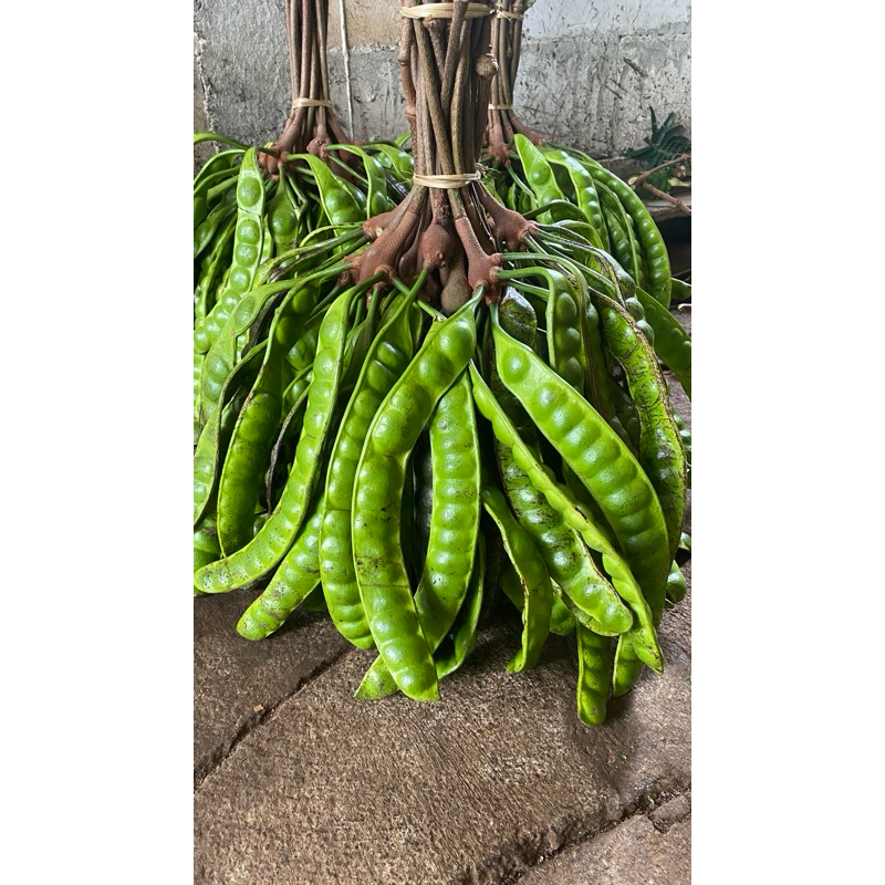 

pete wonogiri ukuran pendek tua isi 12 papan/lonjor