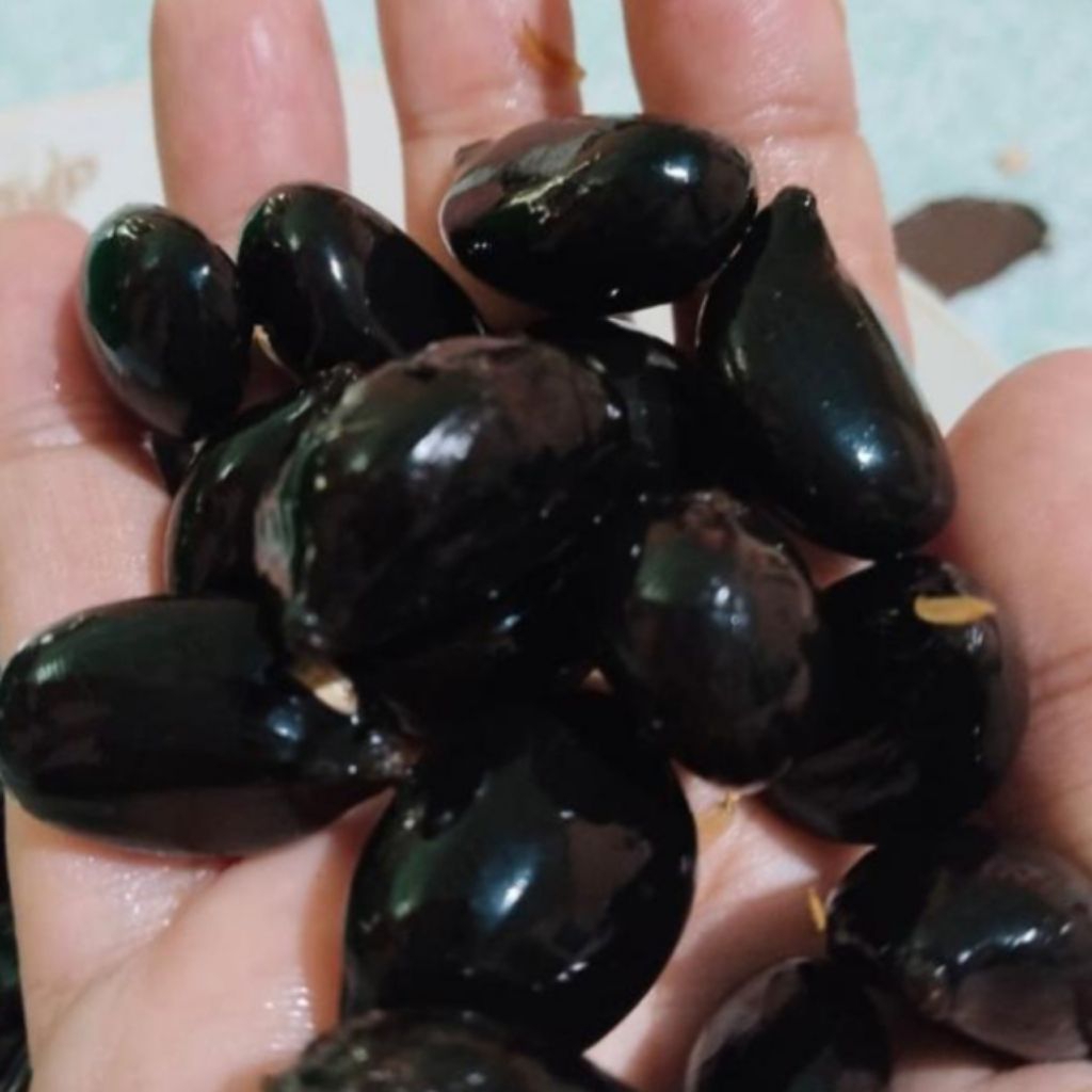 

biji aren genjah segar bersih 50biji