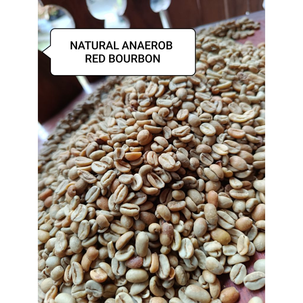 

GREENBEANS NATURAL ANAEROB RED BOURBON KOPI GAYO ACEH 1KG