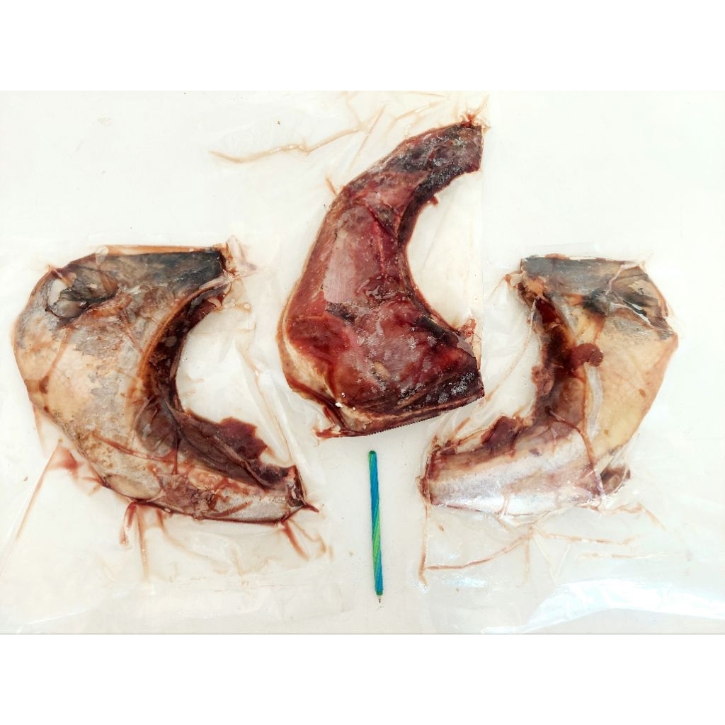 Rahang Tuna / Tuna Collar