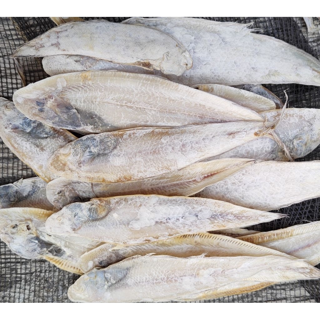 

Ikan Asin Lidah/ Sebelah Kering Murah / Ikan Laut Asin Murah