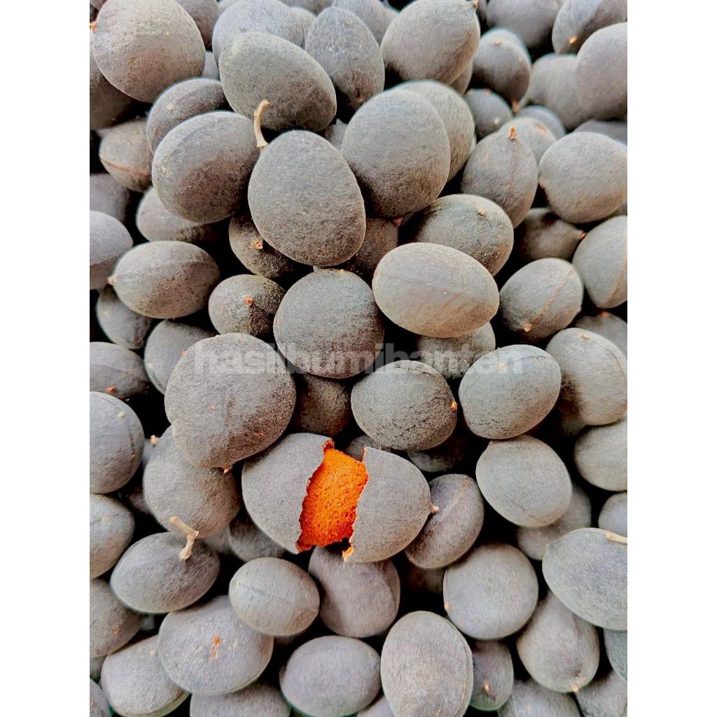 

ASAM MANIS KERANJI 250gr FRESH