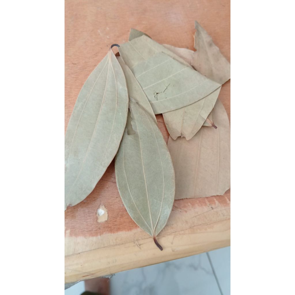 

Daun Salam Arab 100 Gram Kualitas Premium