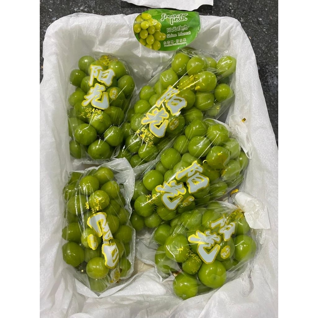 

±500GR ANGGUR HIJAU SHINE MUSCAT PREMIUM BESAR2