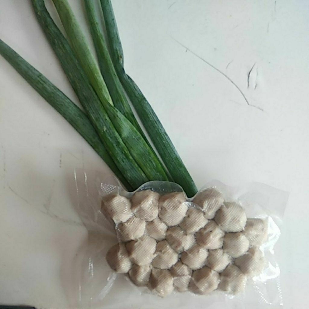 

Bakso Sapi Full Daging isi 23