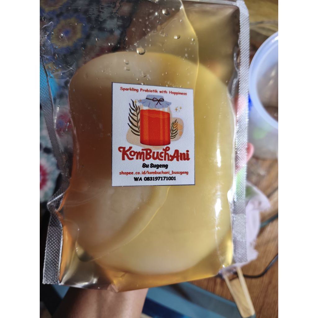 

Scoby kombucha grade A diameter 10-14cm include starter 250ml