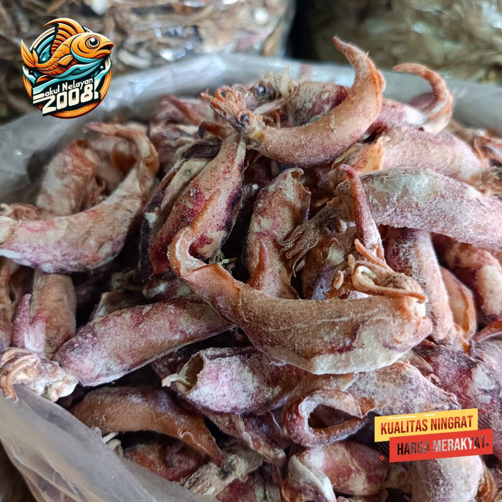 Asin cumi | cumi asin | cumi telur