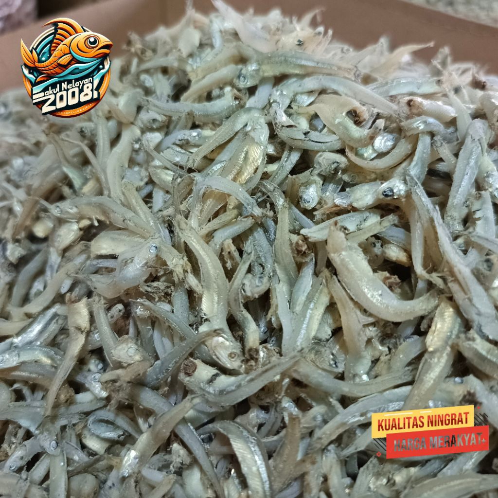 

Ikan teri buntio | uk sedang