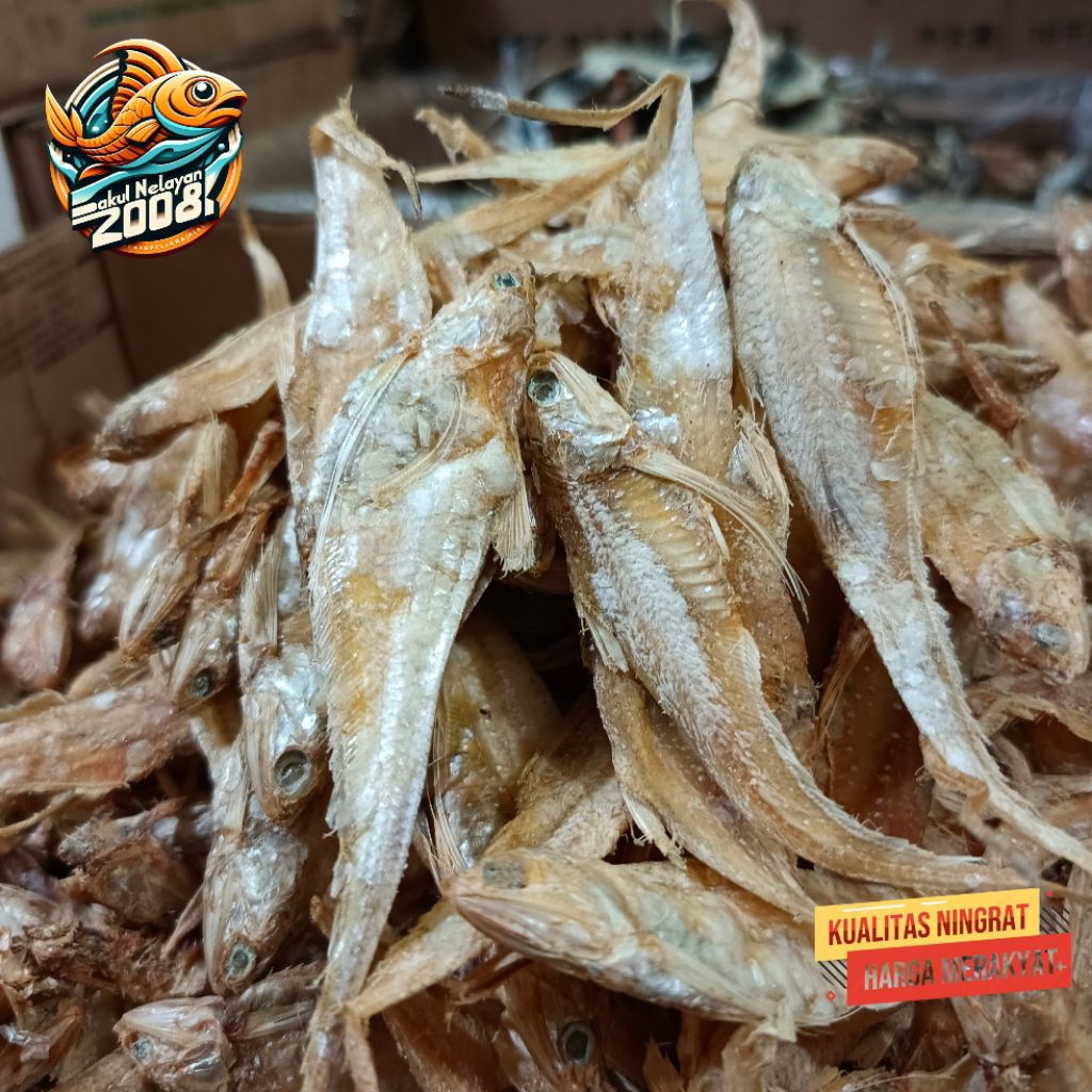 

Ikan bulu ayam tawar