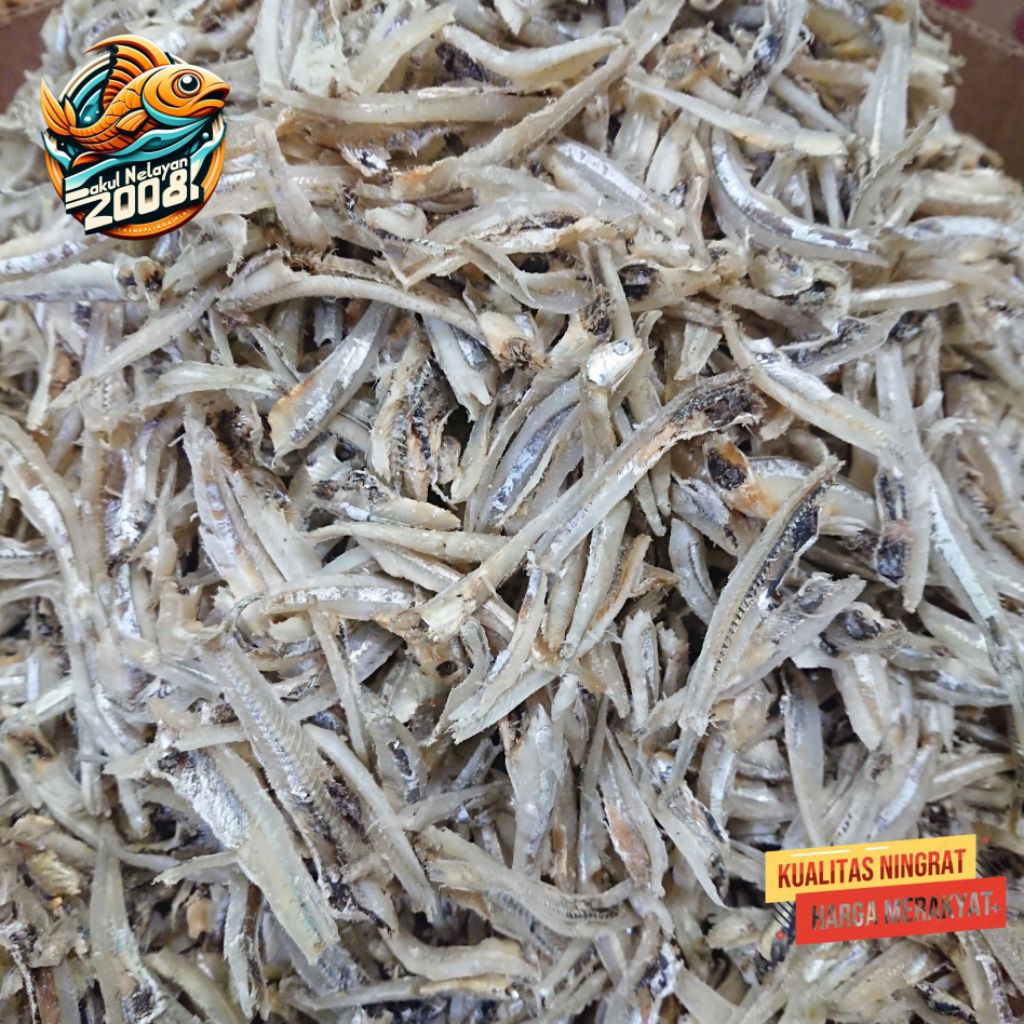 

Ikan teri jengki belah Vip | ikan teri jengki