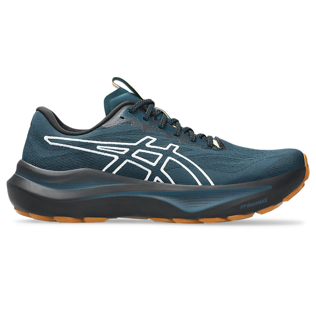 Asics Sepatu Trail Run GT-2000 14 TR Men - Nature Bathing/Tranquil Teal .