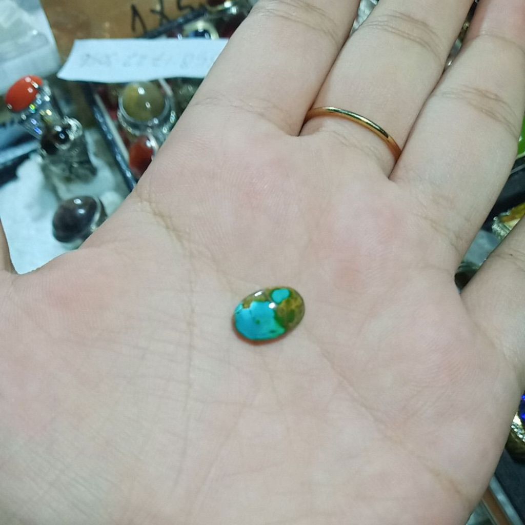 pirus Persia serat emas