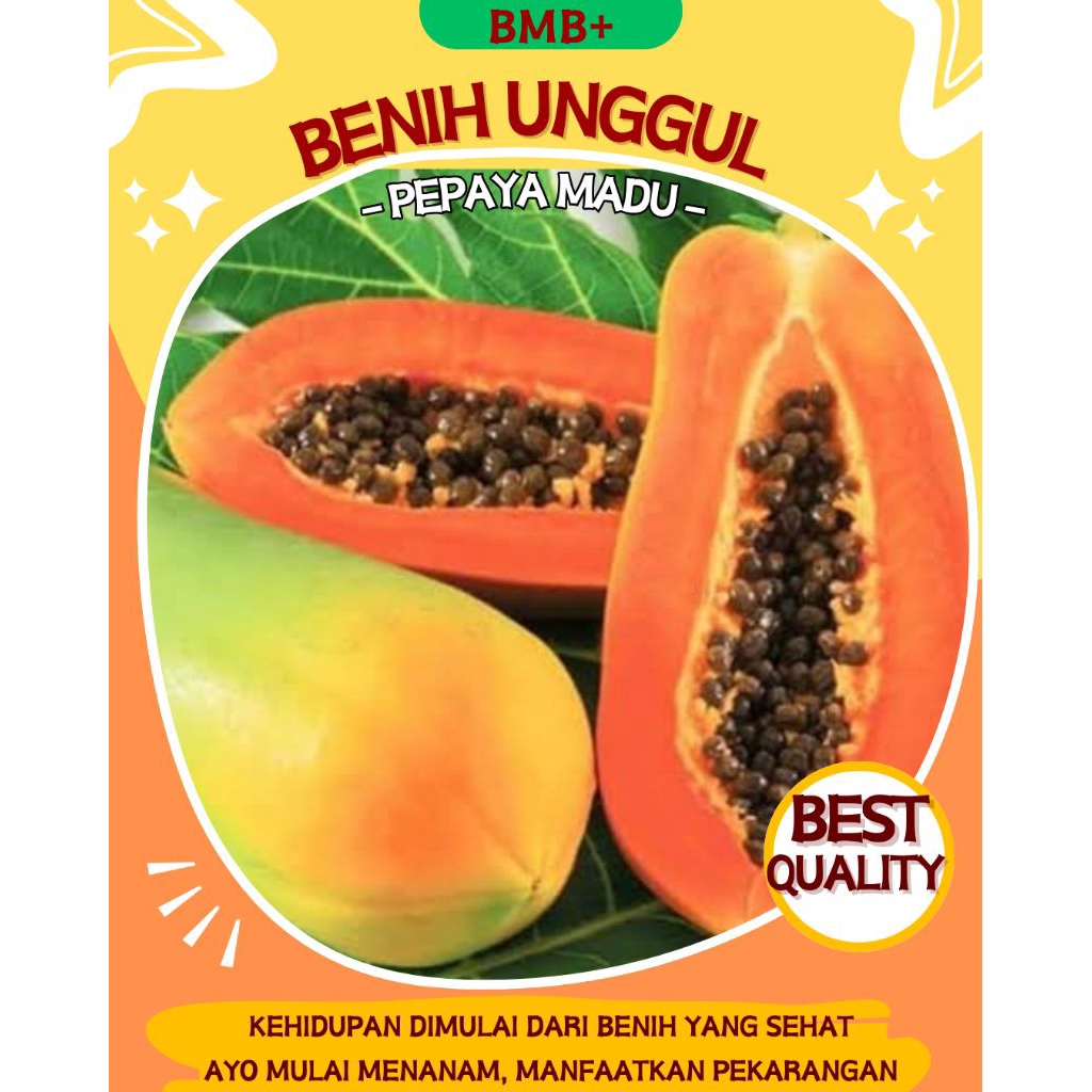 BMB+ 50 biji Benih Pepaya Madu California / Bibit Pepaya Unggul