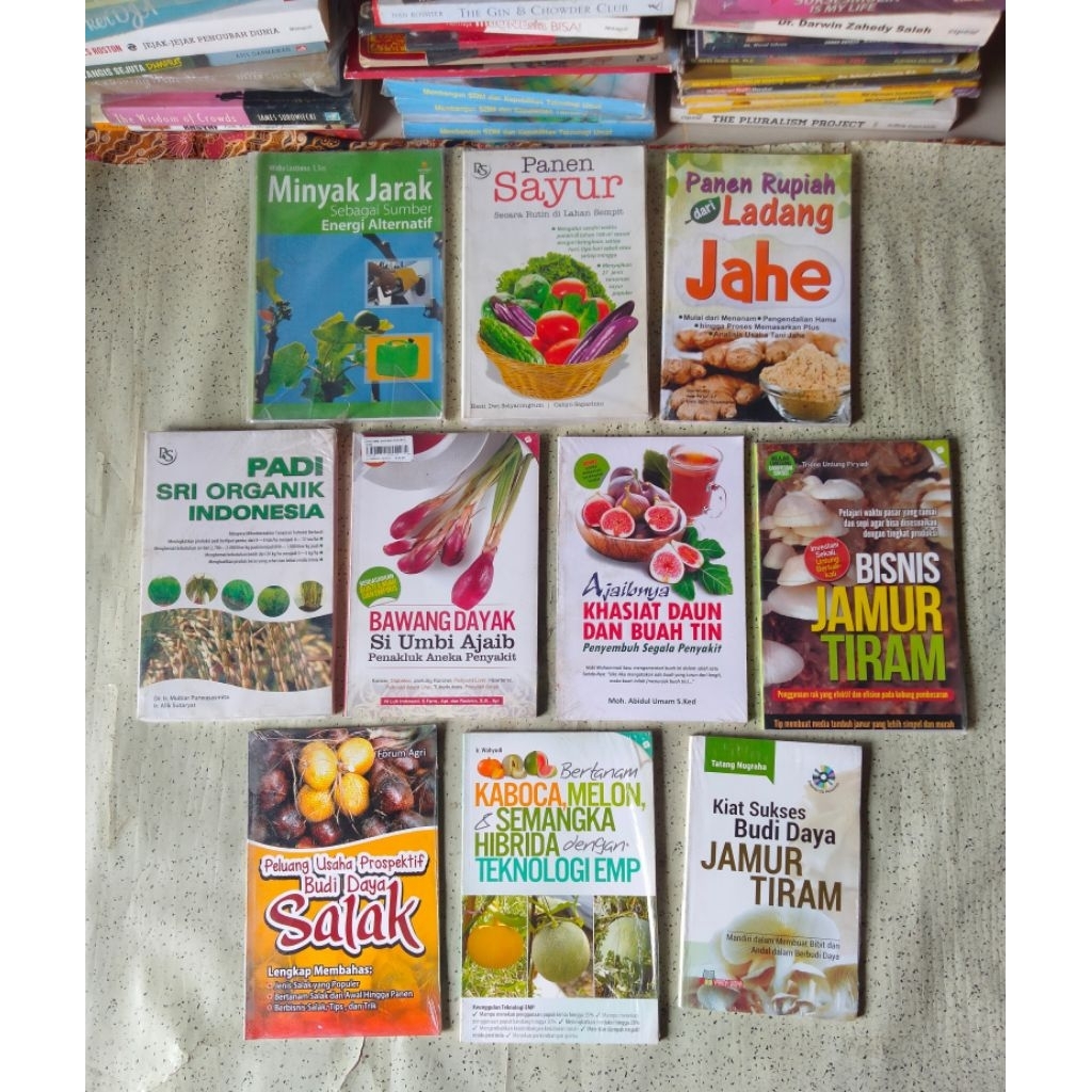 Buku Pertanian-Budidaya-Khasiat; MINYAK JARAK, SAYUR, JAHE, PADI SRI ORGANIK, BAWANG DAYAK, BUAH TIN