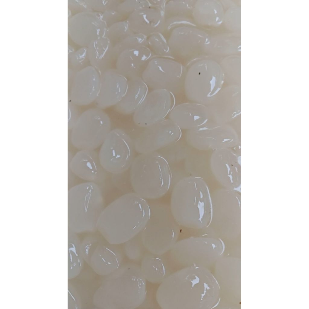 

Kolang kaling segar fresh / 500 gram