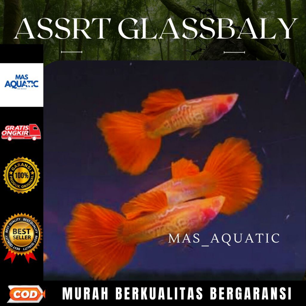 

EXTRA PACKING KARDUS || $£₱4$4NG ASSRT GLASSBALY