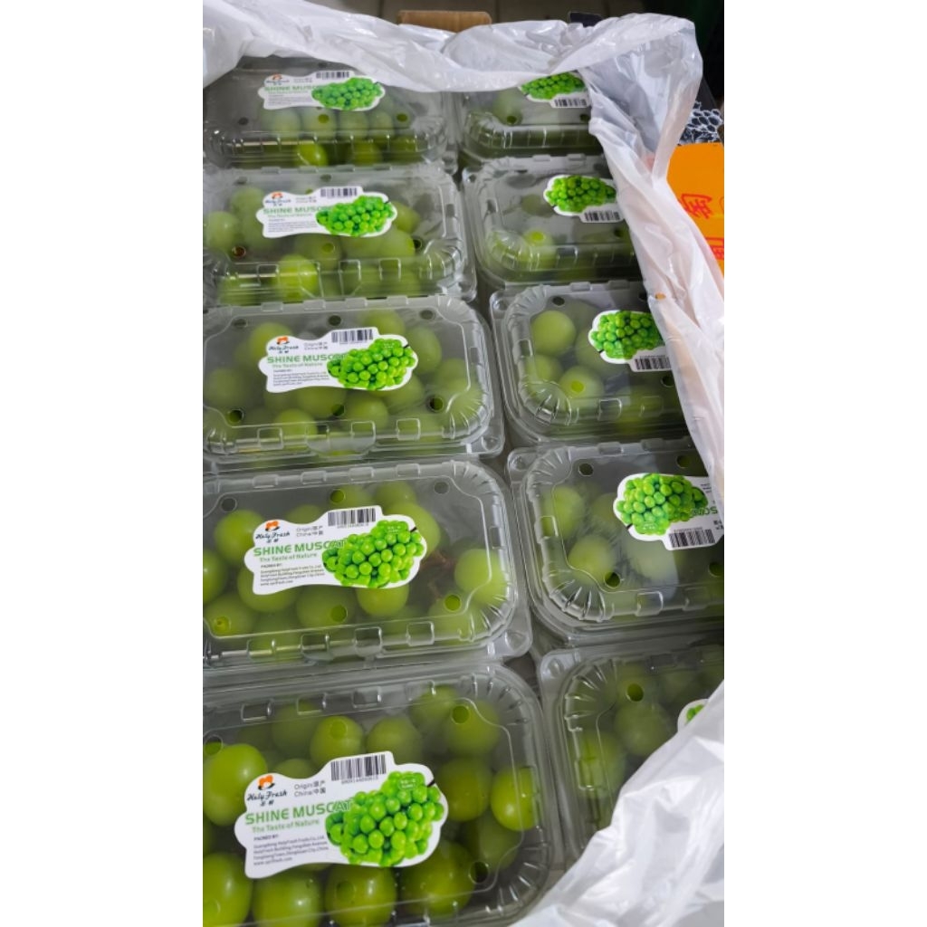 

ANGGUR HIJAU SHINE MUSCAT PACK (500gr)