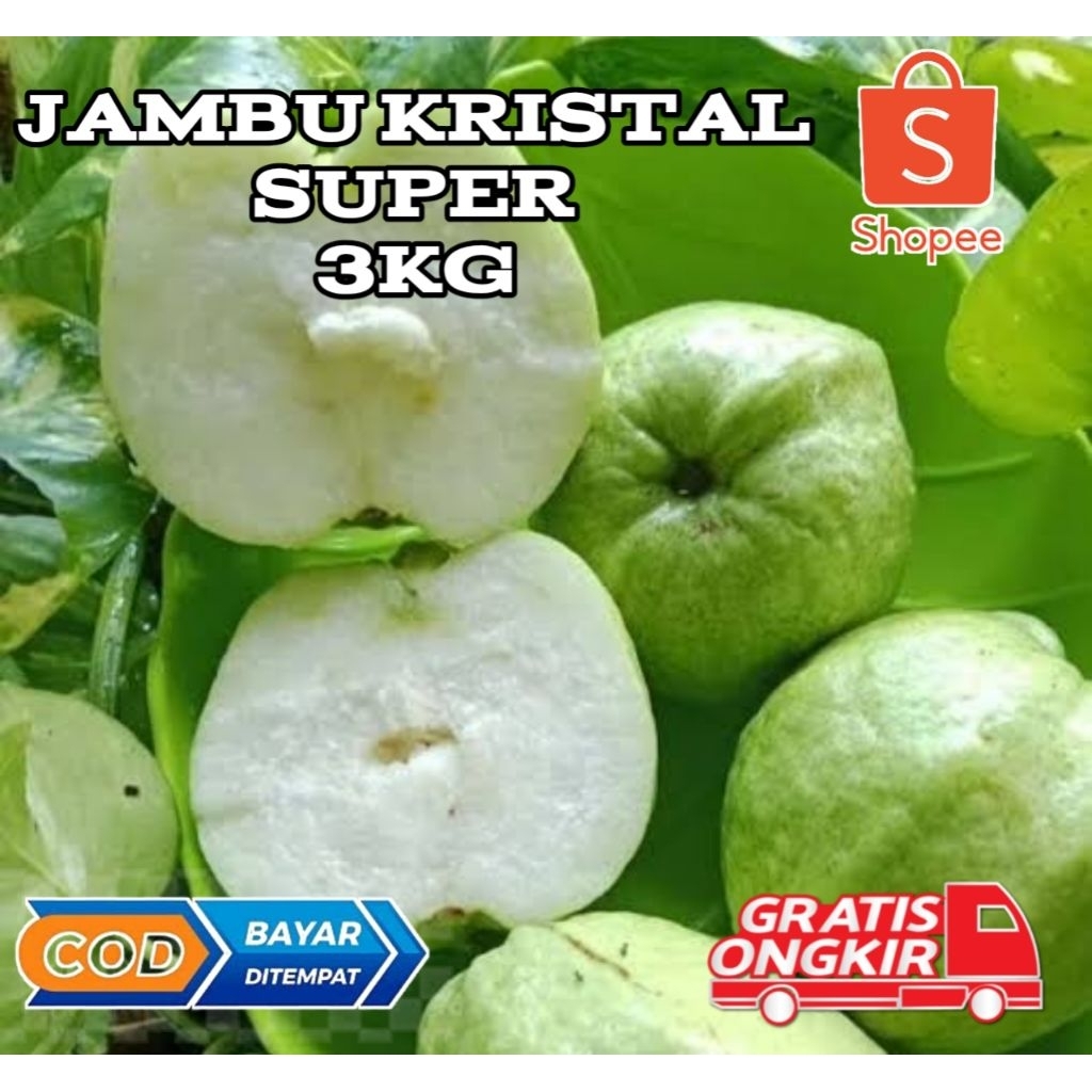 

Jambu kristal KEBUMEN 3kg isi 6~8 Buah jamkis fresh supermarket