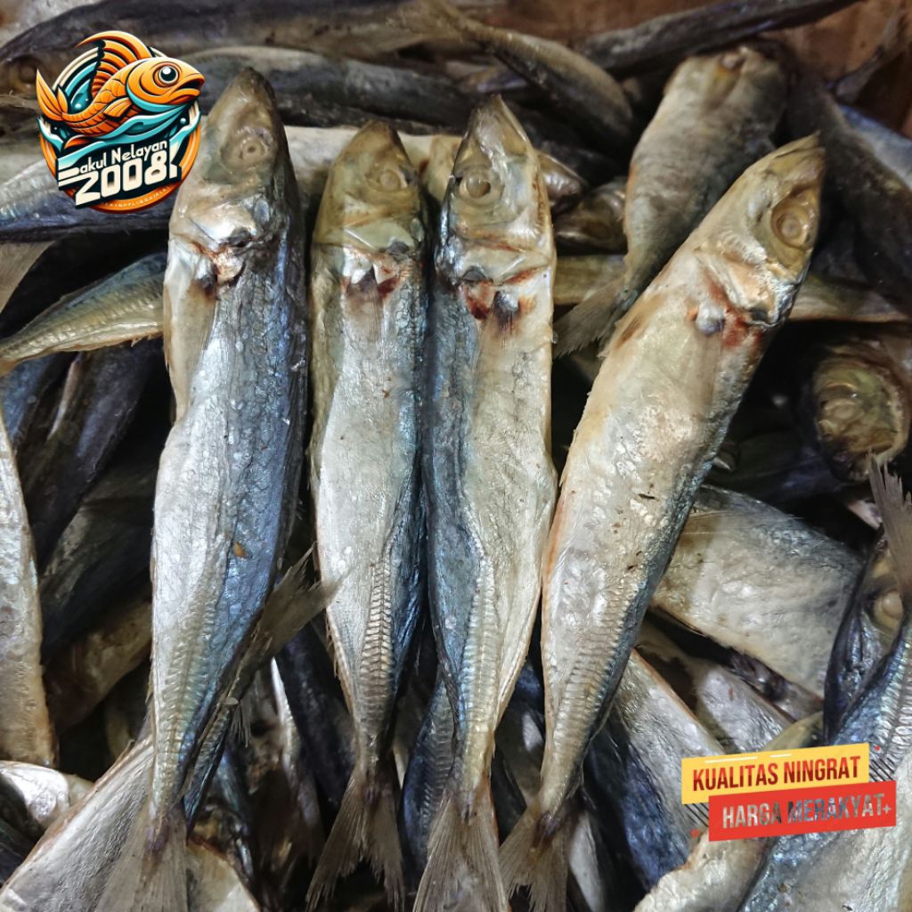 

Ikan asin Japuh | ikan japuh layang