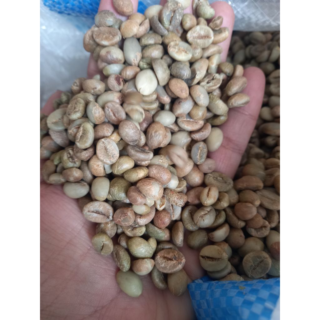 

GREEN BEEN COFFE/BIJI KOPI ROBUSTA MENTAH ASALAN NON SORTIR ASLI BLITAR KEMASAN 250GR,500 GRM,1KG