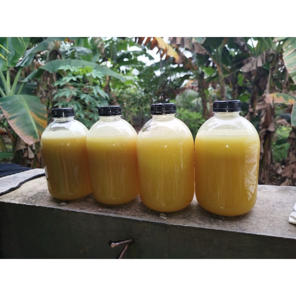 

Madu Kaliandra 1,2 kg